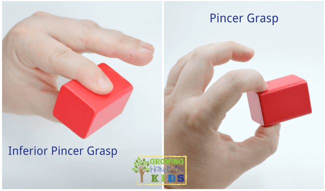 North Hastings Children's Services - Ashley shares with us the different  stages of Teaching the Pencil Grip. Three stages: 1. Palmar Grasp – The one  where the child grabs objects with their