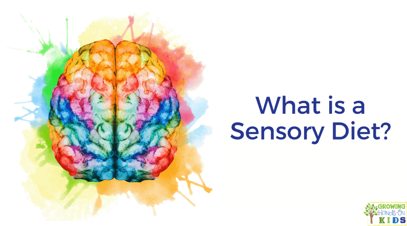 What Is A Sensory Diet 