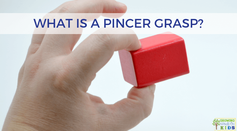 What Is A Pincer Grasp Development Plus Activity Tips And Tools