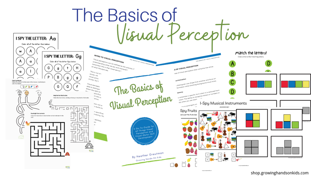 What is Visual Perception?