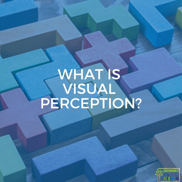 what-is-visual-perception