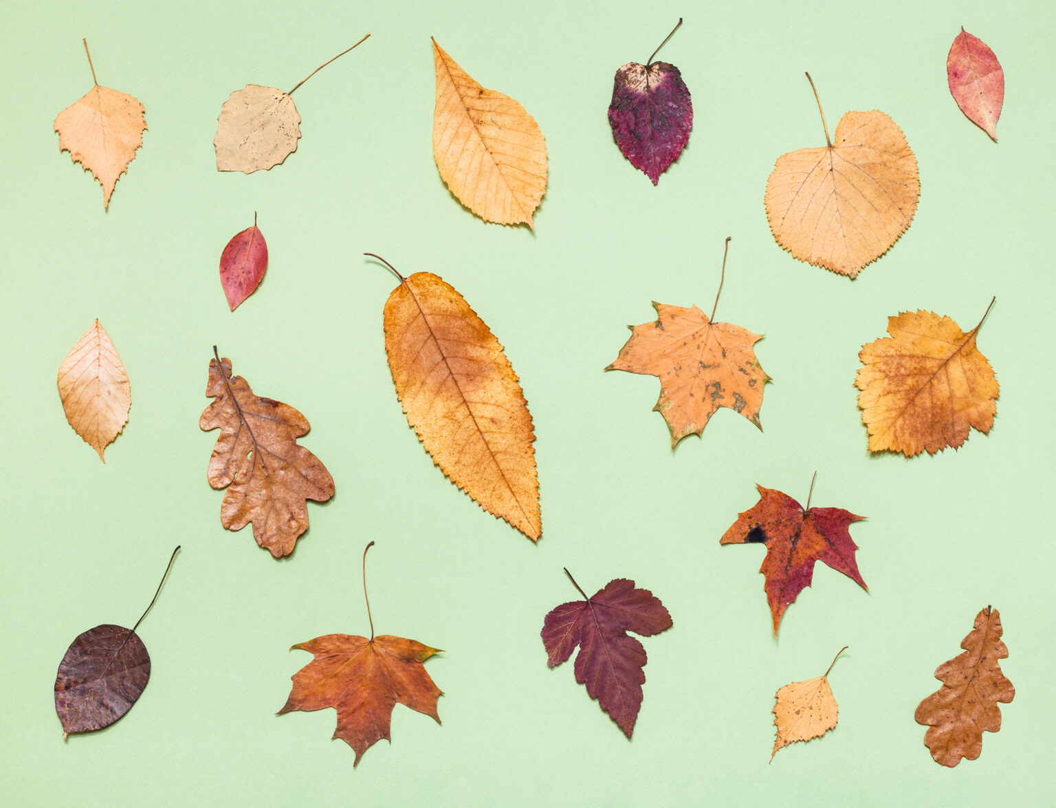 12-fall-themed-pre-writing-activities-for-kids