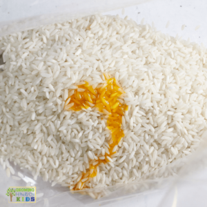 Close-up of white rice in a bag with a splash of yellow food dye, preparing to be mixed for a colorful sensory activity.