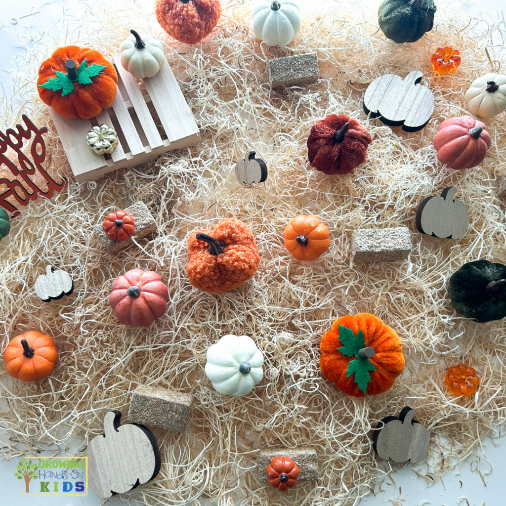 Set-up of a pumpkin patch matching game with multi-colored pumpkins, a wooden box, and Aspen Wood Excelsior.