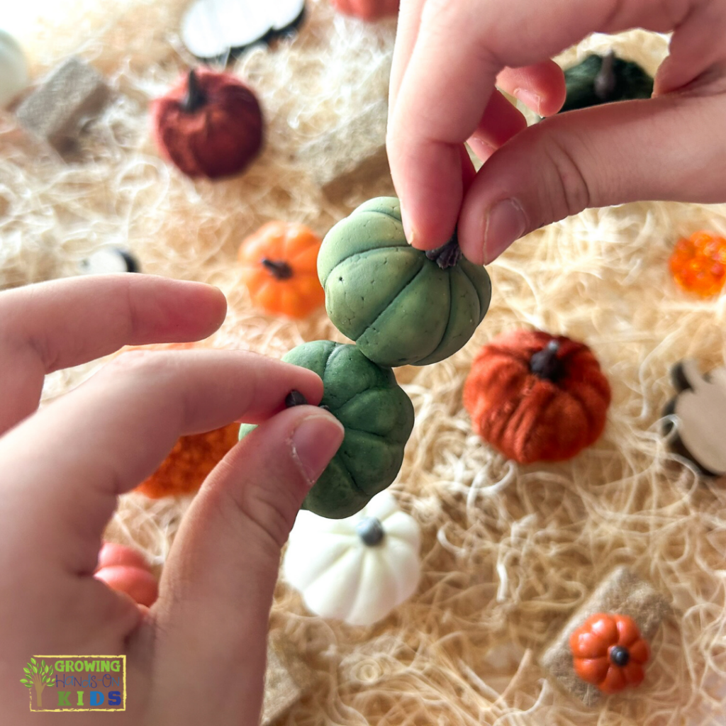 Child's hands holding 2 green faux pumpkins while playing a pumpkin matching game. The background is full of faux pumpkins set out like a pumpkin patch on wood shavings.